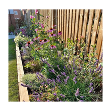 Pack de 48 mini traverses de bois traitée UC3 | 3 m x 150 mm x 75 mm